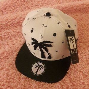 BLVD snapback